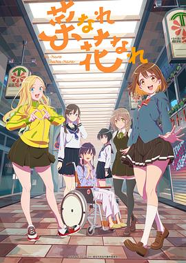 seo优化网络推广方案